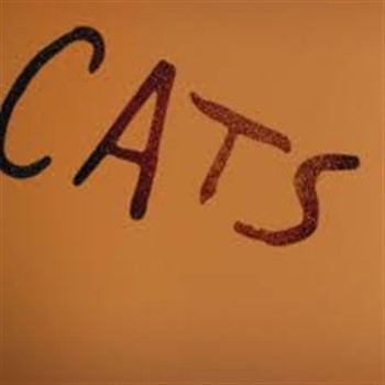 CATS - MUSICAL