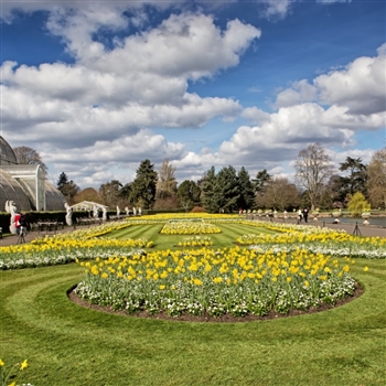 Splendours of Kew & Buckingham Palace